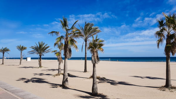 Road trip to Valencia 4. Gandia